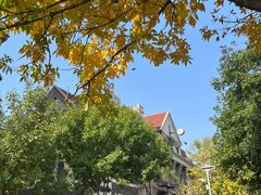 -天津五大道文化旅游区