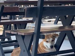 -大螃蟹海鲜餐厅