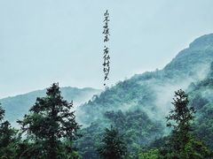 -姑婆山旅游区