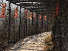 -黄花溪