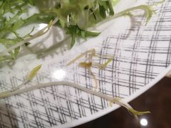 -峨眉山世纪阳光大酒店(峨眉高铁站店)