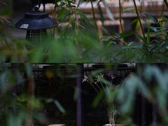 -Metal hands·铁手咖啡