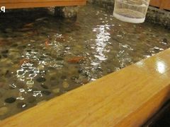 小金鱼-松子料理(亮马桥店)