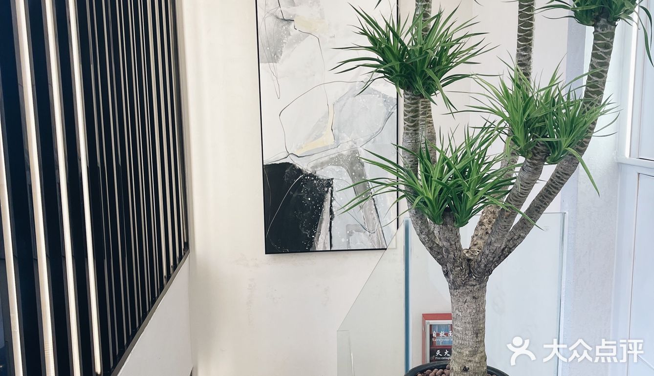 欧美风y2k千禧挑染👀秋冬显白绝绝子！