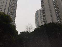 -新湖明珠城