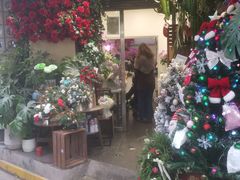 -循礼门鲜花花市(武汉循礼门店)