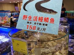 -新海渔港·胶东海鲜家常菜·家宴(奥体中心店)