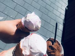 -Patagonia Chocolates(皇后镇店)