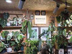 -Rabbit Cafe私房西餐甜点咖啡(栖霞路店)