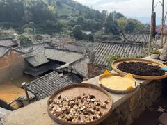 -杨家堂村