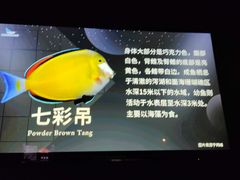 -太平洋海底世界