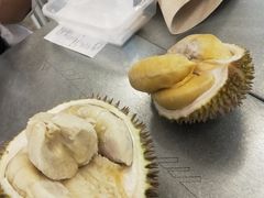 -都念榴莲·城市榴莲