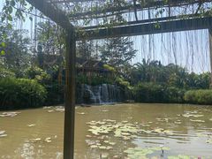 -中国科学院西双版纳热带植物园