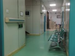 -北京观赏动物医院·24小时大型综合·猫专科·异宠专科