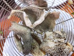 -蔡社牛肉城(龙湖店)