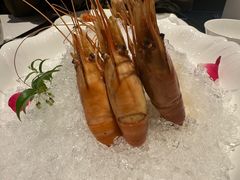 -南麓·浙里(外滩店)