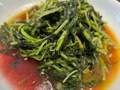 -富春茶社(国庆路店)
