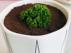 -喵园·猫主题咖啡厅·撸猫·猫咖(国贸店)