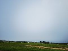-盐城丹顶鹤湿地生态旅游区