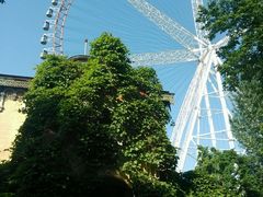 android_upload_pic-哈尔滨文化公园