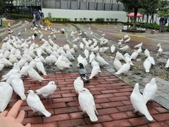 -飞来湖湿地公园