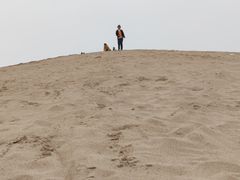 -古柏渡飞黄旅游区