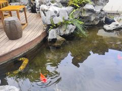 -道南書院·私房菜·早午茶·茶馆