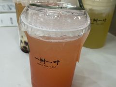 -一树一叶·福建茶档(石鼓路店)