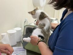 -美联众合动物医院·24h京西诊疗中心