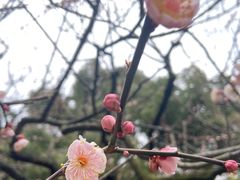 -岳王庙