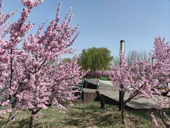 -南开大学(津南校区)