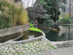 -成都市活水公园