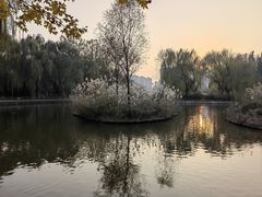 -将府公园