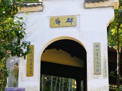 -仙霞关景区