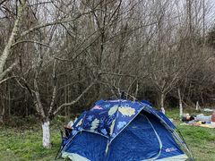 -桤木河湿地公园