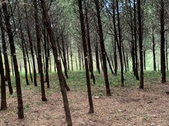 -北京十三陵国家森林公园蟒山景区