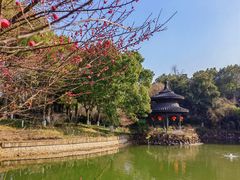 -天目湖山水园