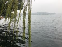 -西湖外事游船(花港观鱼码头)