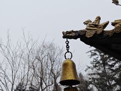 -哈尔滨极乐寺