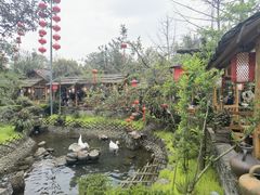 -青城甲(青城山店)