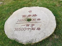 -千年银杏谷文化旅游区
