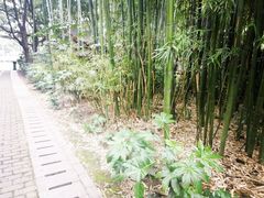 -苏州河梦清园环保主题公园