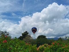 -中国科学院西双版纳热带植物园