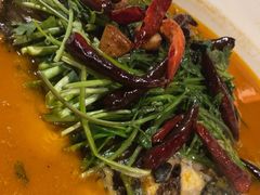 -清水亭湖北菜(大屯DT51店)