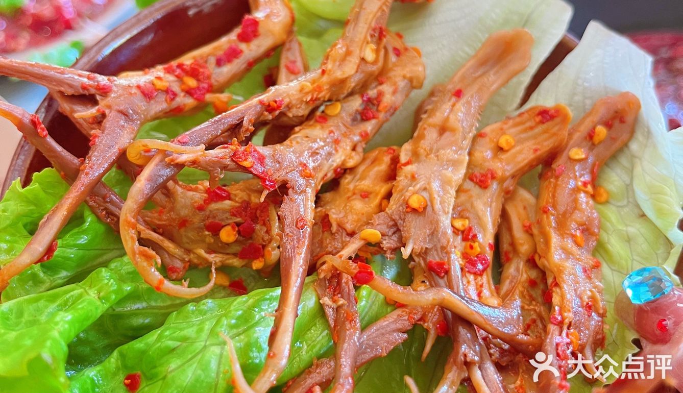 我在新青年等你