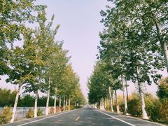 -百里山水画廊乌龙峡谷