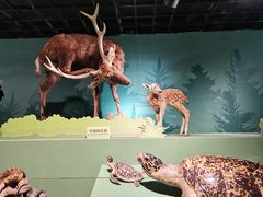 -浙江自然博物院(杭州馆)
