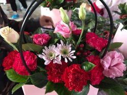 -安悦国际母婴中心(月子会所)