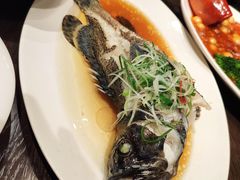 -瓷忆·瓷文化餐厅(上海店)