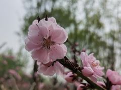 -农家院铁锅炖(西韩路店)